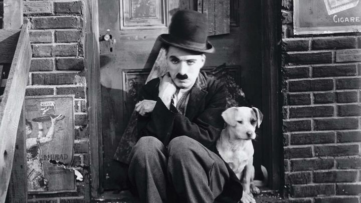 Una scena tratta dal film Vita da cani