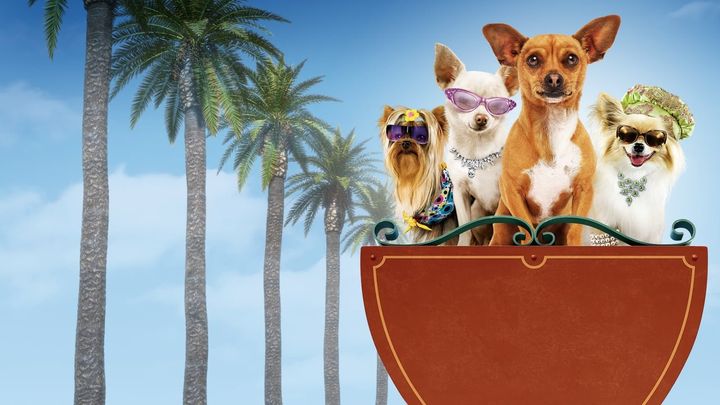 Una scena tratta dal film Beverly Hills Chihuahua