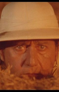 Locandina Finché c'è guerra c'è speranza