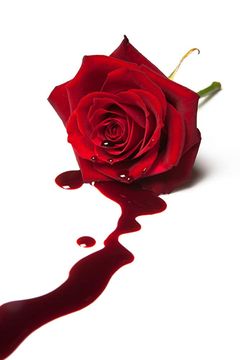 Locandina La rosa velenosa