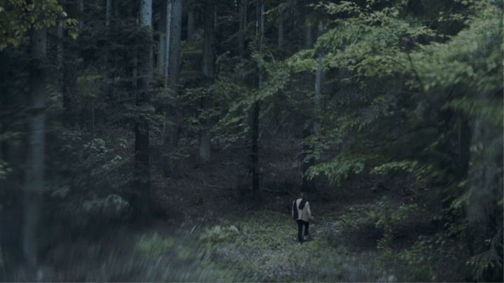 Una scena tratta dal film La veduta luminosa