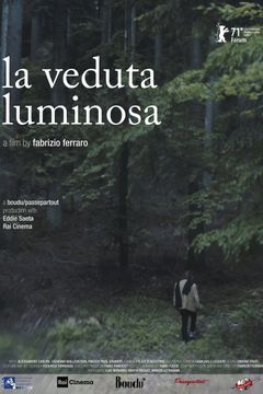 Locandina La veduta luminosa