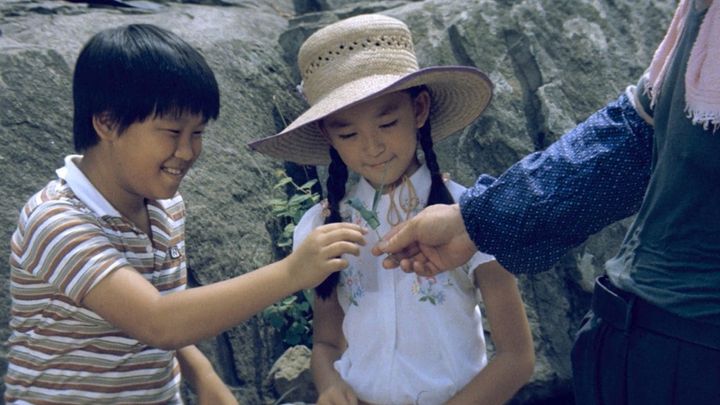 Una scena tratta dal film The Green, Green Grass of Home