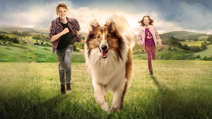Una scena tratta dal film Lassie torna a casa