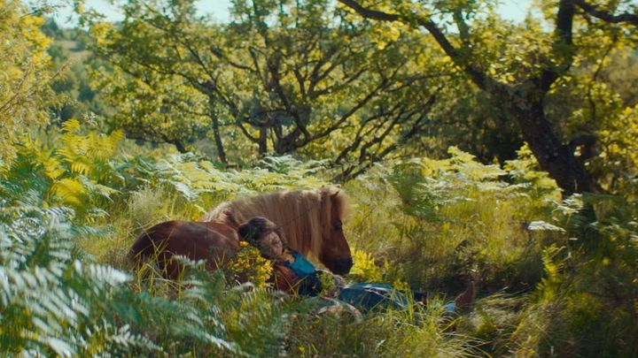 Una scena tratta dal film Poly