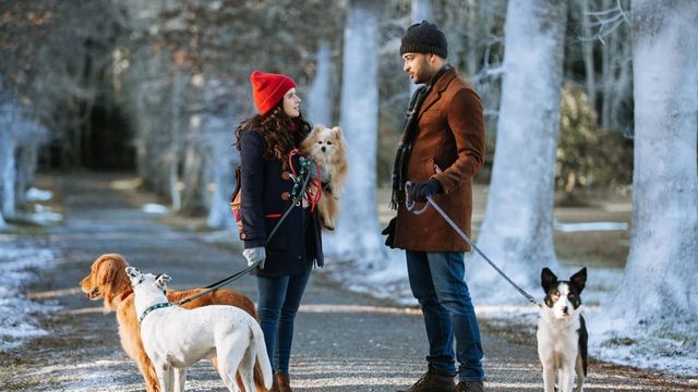 Una scena tratta dal film Un cucciolo sotto l'albero