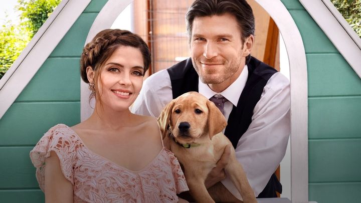 Una scena tratta dal film Cuccioli in festa