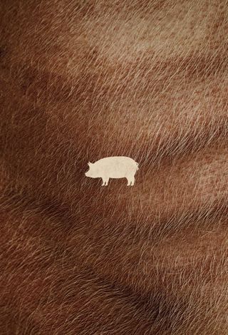 Pig - Il piano di Rob
