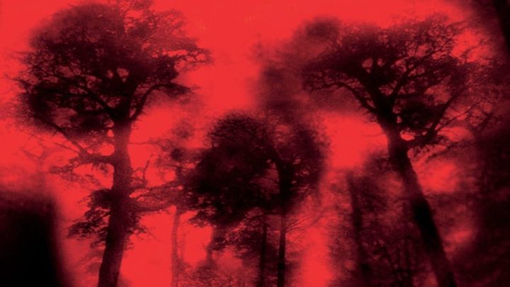 Una scena tratta dal film Cabin Fever