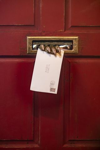 The Portable Door