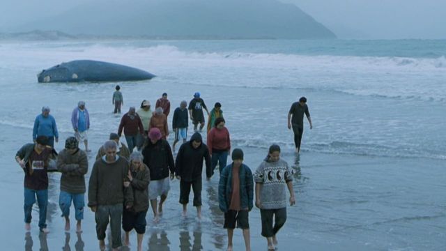 Una scena tratta dal film La ragazza delle balene