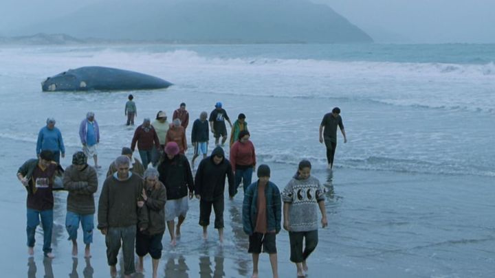 Una scena tratta dal film La ragazza delle balene