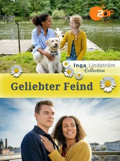 Locandina Inga Lindstrom - Segreti inconfessabili