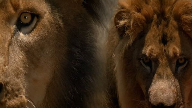 Una scena tratta dal film Spiriti nelle tenebre