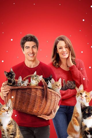 Nove cuccioli sotto l'albero