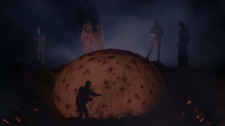 Una scena tratta dal film La fattoria maledetta