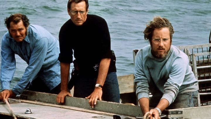 Una scena tratta dal film Lo squalo
