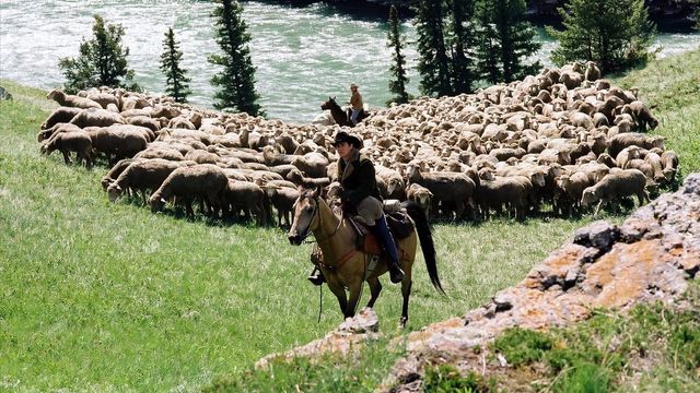 Una scena tratta dal film I segreti di Brokeback Mountain