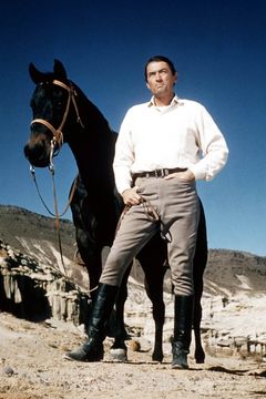 Locandina Il grande paese