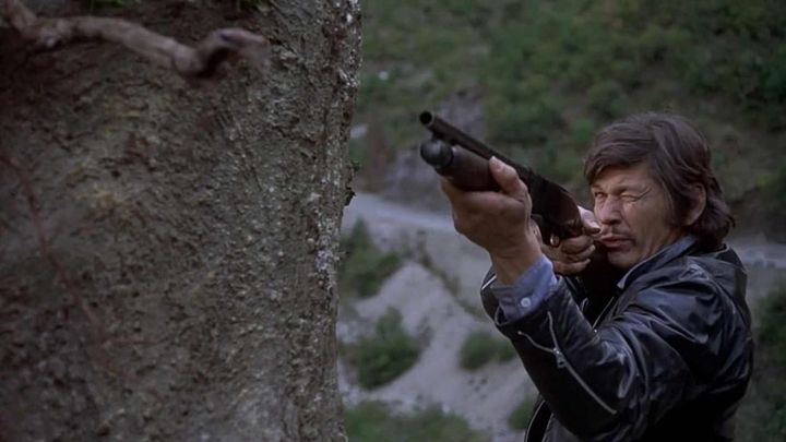 Una scena tratta dal film Professione assassino