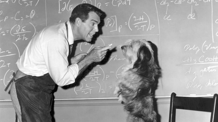 Una scena tratta dal film Un professore fra le nuvole