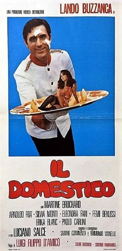 Locandina Il domestico
