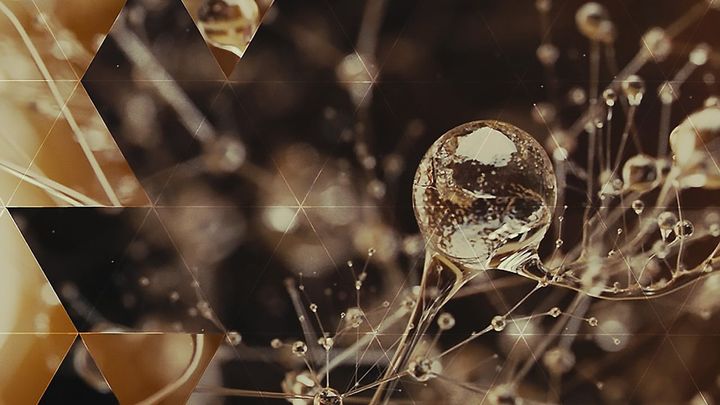 Una scena tratta dal film Eva