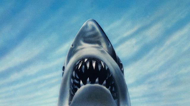 Una scena tratta dal film Lo squalo 3