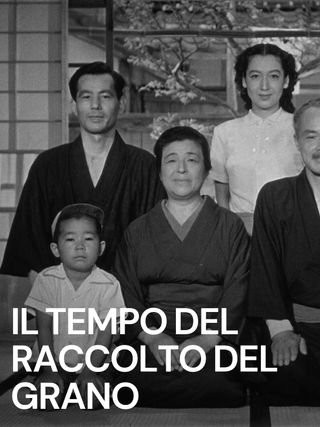 Il tempo del raccolto del grano