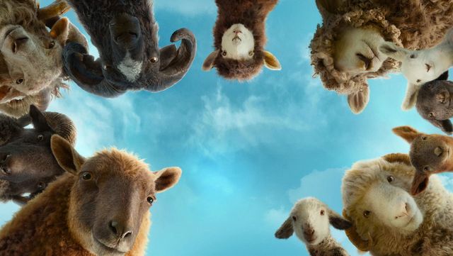 Una scena tratta dal film Pecore sotto copertura