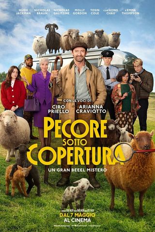 Pecore sotto copertura