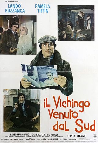 Il vichingo venuto dal sud