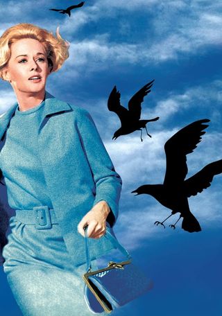 Gli uccelli