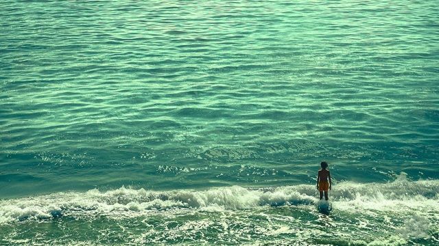 Una scena tratta dal film Denti da squalo