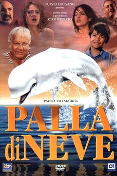 Locandina Palla di neve
