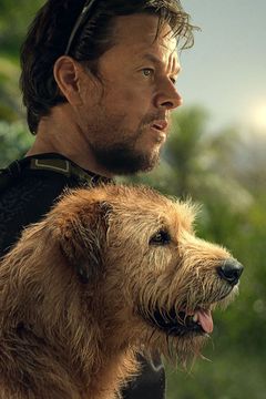Arthur the King