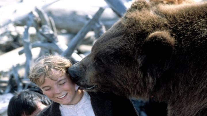 Una scena tratta dal film Grizzly Falls - La valle degli orsi