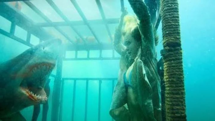 Una scena tratta dal film Shark invasion