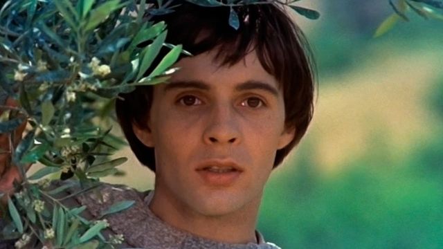 Una scena tratta dal film Fratello sole, sorella luna