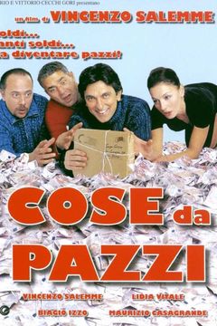 Locandina Cose da pazzi