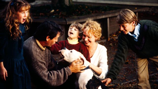 Una scena tratta dal film In fuga a quattro zampe