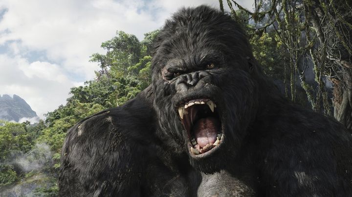 Una scena tratta dal film King Kong