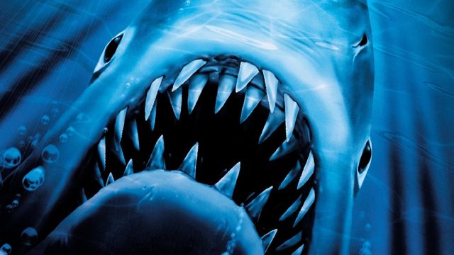 Una scena tratta dal film Lo squalo 2