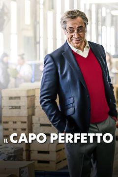 Locandina Il capo perfetto