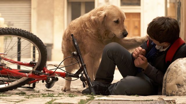Una scena tratta dal film Italo