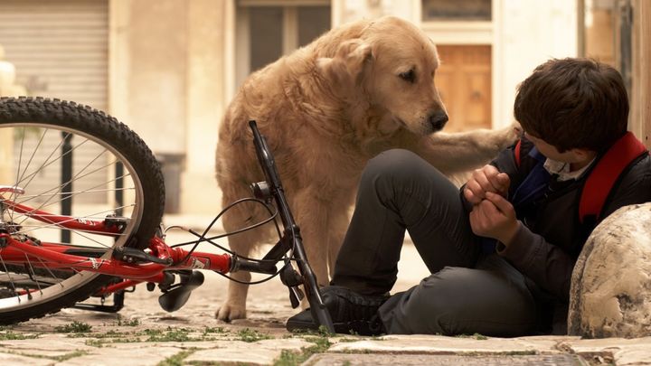 Una scena tratta dal film Italo