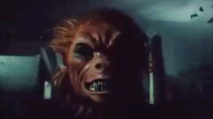 Una scena tratta dal film Camping del terrore