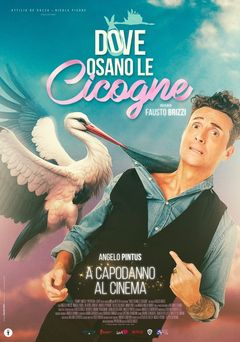 Locandina Dove osano le cicogne