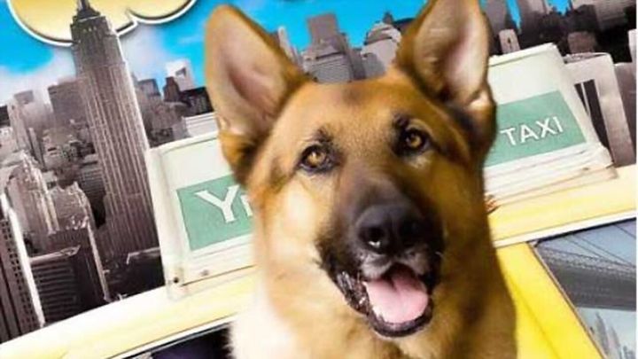 Una scena tratta dal film Cool Dog - Rin Tin Tin a New York