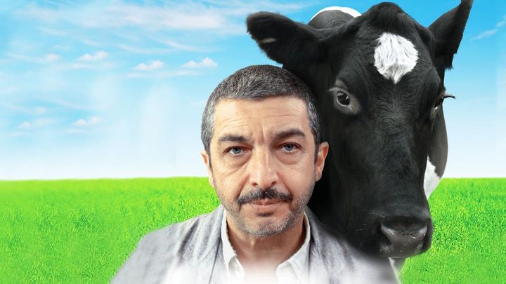 Una scena tratta dal film Cosa piove dal cielo?